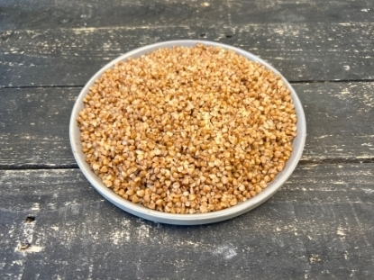 Picture of Buckwheat
