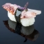 Picture of Nigiri Taco