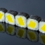 Picture of Takuan maki 8 pcs