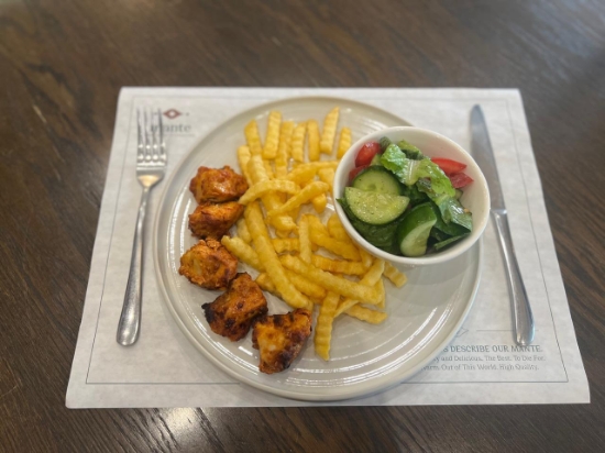 Picture of chicken skewers (Tawook) with fries and a side of salad