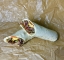 Picture of Beef wrap
