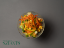 Picture of Broccoli Salad