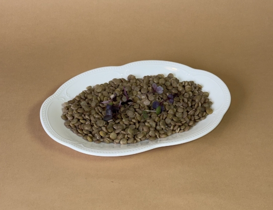 Picture of Lentil